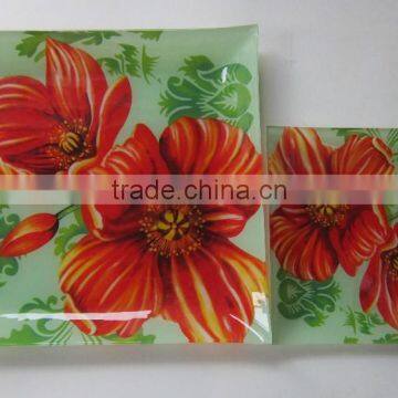 Salad Glass Bowl and Plate,glass Plate, Glass Plate,high Quality Plate Made in Zibo City Shandong China photo-2