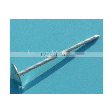 Galvanized Roofing Nail Umbrella Head