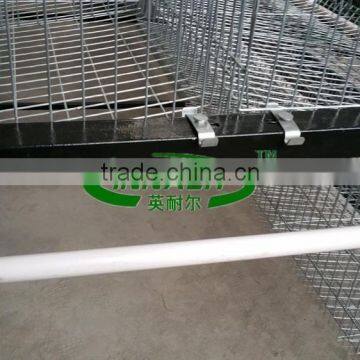Quail Cage for Sale(factory) photo-4
