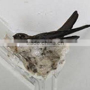 Mid-Autumn Festival Gift Indonesian Raw Pure Birdnest ( No Chemical )