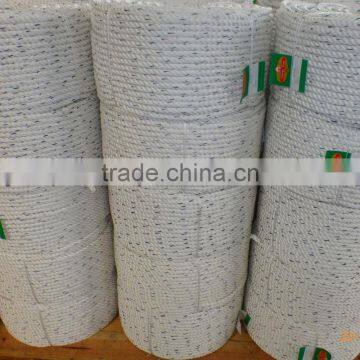 3 Strands Plastic PP Twisted Packing Rope 10MM
