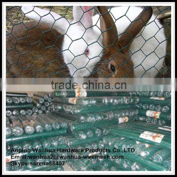 China Anping Factory sale diamond hexagonal mesh rabbit breeding cages