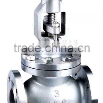 Plunger Globe Valve