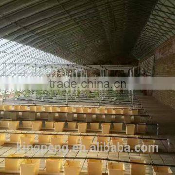 Dutch Bucket Cultivation System photo-2