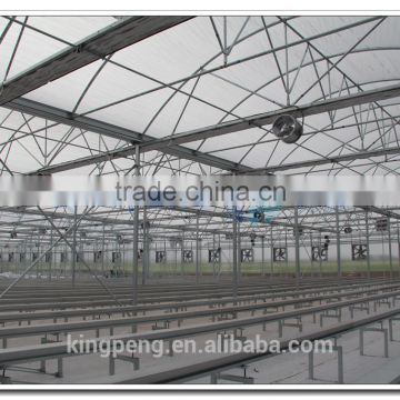 Venlo polycarbonate sheet greenhouse for sale