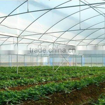 Low Cost Hydroponic Greenhouses System photo-5