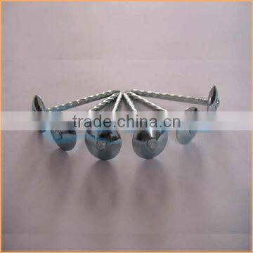 Top Quality Best Quality and Cheaper Big Head Roofing Nails Trusted Chuanghe Suppliers From Com photo-2