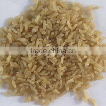Nutritional Rice/Artificial Rice Process Line/Nutritional Rice photo-4