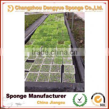 No Need Fertilizer Save Soil Green Planting Hydroponic Foam Odorless Growing Sponge photo-5