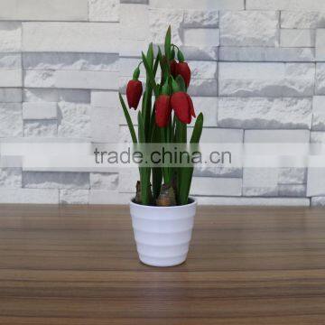 Table Artificial Mini Saussurea Flower Bonsai for Home and Commercial Decoration photo-4