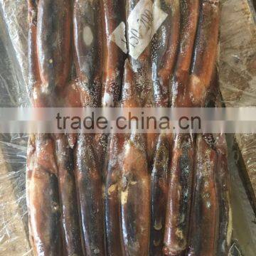 150-200g Illex Argentinus Squid Frozen Squid