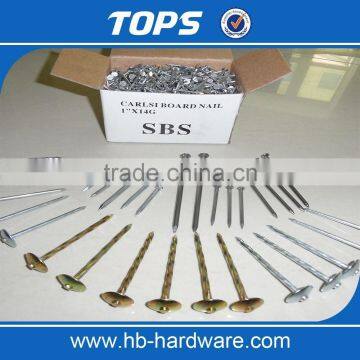 Galvanized Umbrella Head Roofing Nails With Best Price