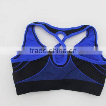 Blue Seamless Sports Bra /customized Sports Bra Factory Shantou photo-2