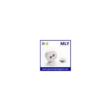 Magnetic Assembly Neodymium Rare Earth Magnet