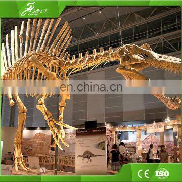 KAWAH Museum Animated Realistic 3D Fiberglass Dinosaur Fossil photo-3