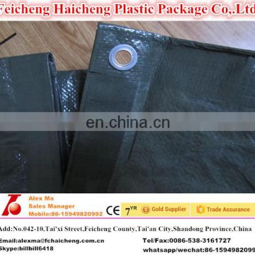 shandong plastic material tarpaulin