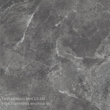 Fullbody Tiles / Glazed Tiles 800X800 photo-5