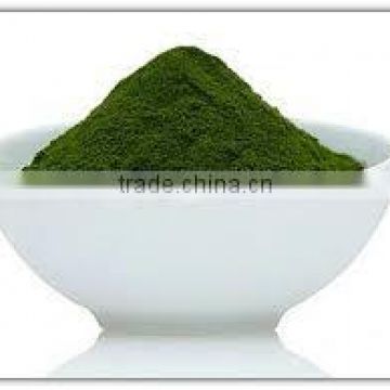 Best Quality Spirulina Powder For Sales