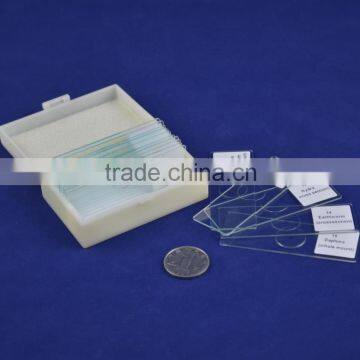 15 Pieces Prepared Slides