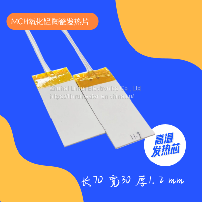 L70 W30mm MCH Alumina Ceramic Heating Element