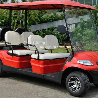 Global Sales of Golf Carts, Electric Sightseeing Vehicles, and Electric Trucks photo-3
