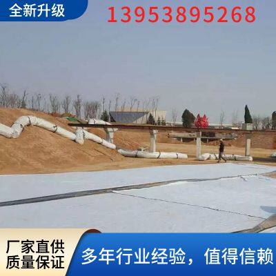 Geosynthetic Material Clay Liner 6000g Natural Nano Coated Bentonite Waterproof Blanket photo-4