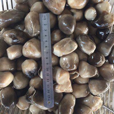 Peeled Paddy Straw Mushroom in Brine Volvariella Volvacea photo-3