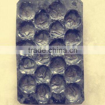 Polypropylene PP Blue Fruit Tray For Pear/Fresh Fruit Export Packaging