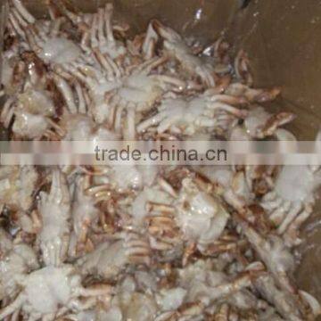 foods of crab