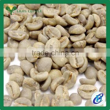 Best Price Arabica Green Coffee Beans photo-4