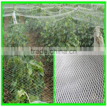 Henan Suntex Supply Hail Guard Mesh/anti Hail Structure Netting/UV Treated Anti Hail Net photo-5