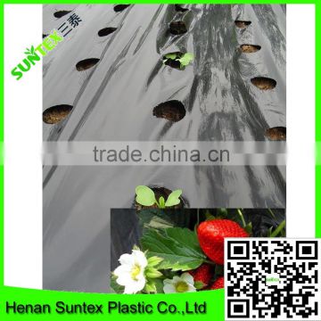 Agro Mulch Films / Plastic Mulch film with punching holes customized required