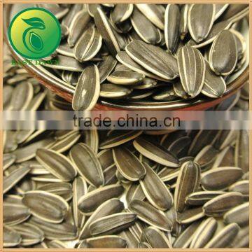 2015 Agriculture Products Sunflower Seeds photo-2