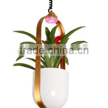 LED Decoration Light With Plant photo-6