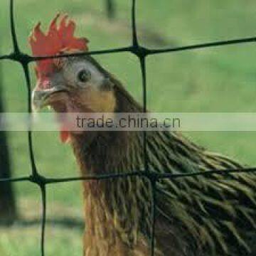 PP Plastic extruded net/poultry fence