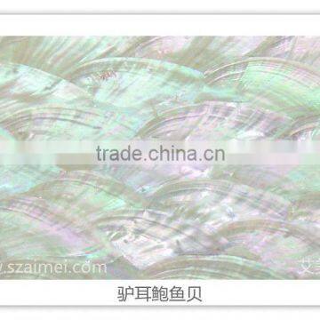 Abalone (Paua) white selection shell paper