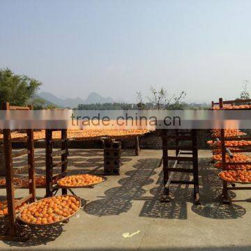 Hot sale high quality dried persimmon,pure natural green dried persimmon