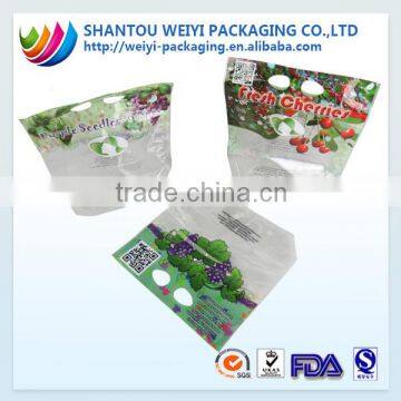 wholesale plastic retal fruit zipper food bag logo printing