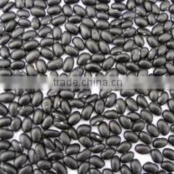 China black bean