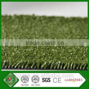 Guangzhou runway artificial grass