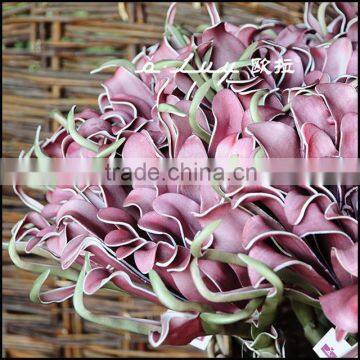 factories indoor decorative flower