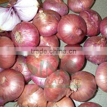 red onion specification fresh fresh vegetables