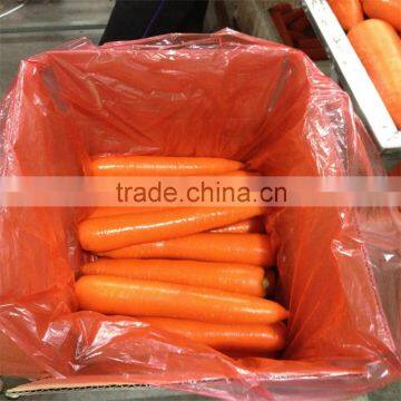 Fresh good cost performance carrot from China