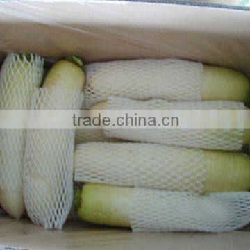 Fresh Chinese White Radish on Sale photo-4
