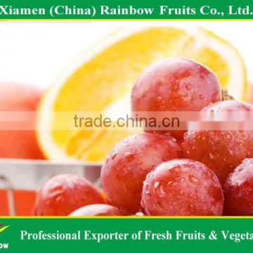 Fresh red globe grape from Yunnan China