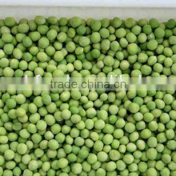 IQF Green Pea