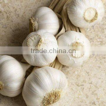 Natural White Fresh Garlic photo-2