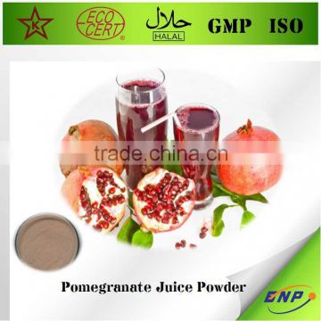 BNP GMP/HALAL/ISO/HACCP supply 100% pure Instant Pomegranate Juice Powder