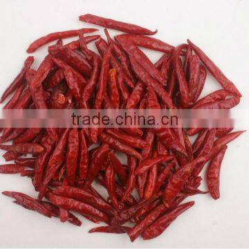 EXPORT QUALITY INDIAN CHILI