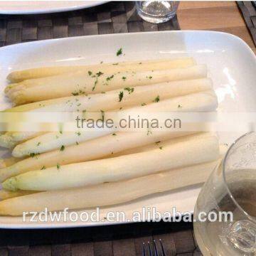 IQF Frozen White Asparagus From Shandong-dia 16-22mm
